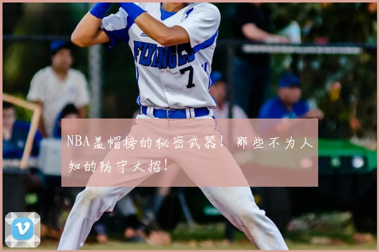 NBA盖帽榜的秘密武器！那些不为人知的防守大招！
