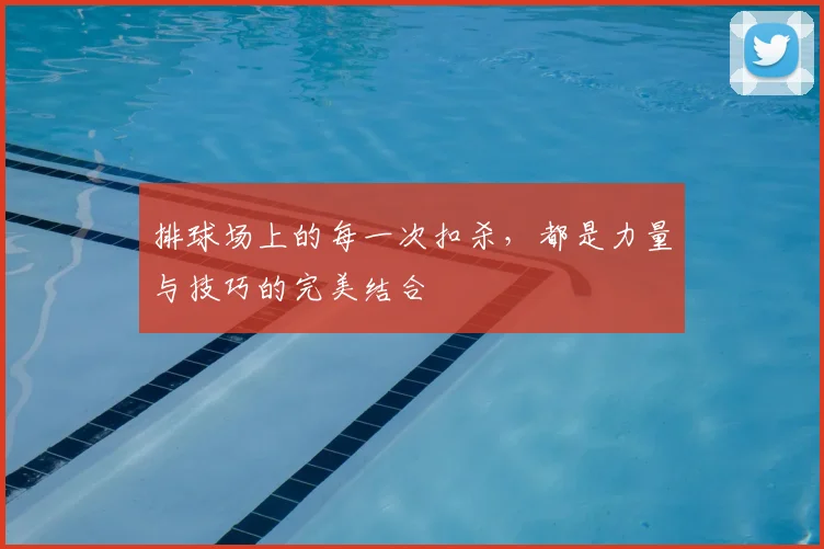 排球场上的每一次扣杀，都是力量与技巧的完美结合