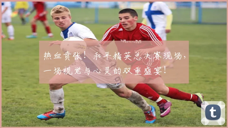 热血贲张!和平精英总决赛现场,一场视觉与心灵的双重盛宴!